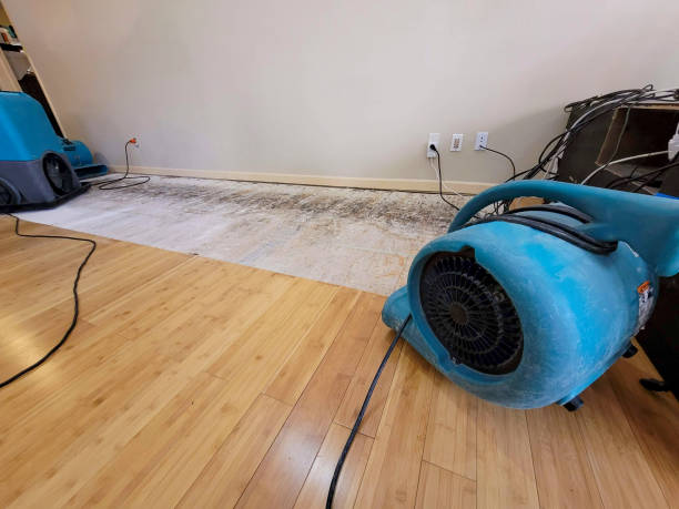 Professional Basement Flood Cleanup technician working in Kress, TX