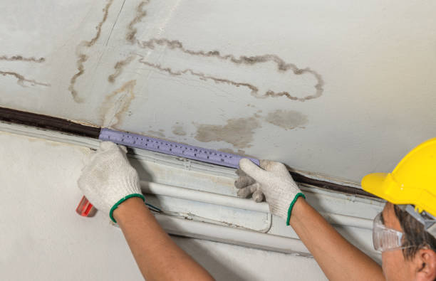 Affordable Basement Flood Cleanup solutions in Kress, TX